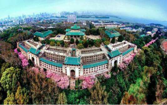 武汉大学