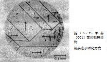 图1 Si-Fe单晶的磁畴结构