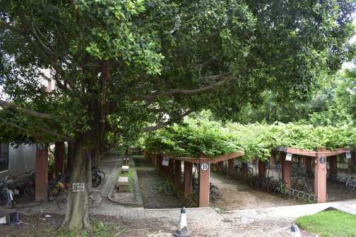 中山大学东校区