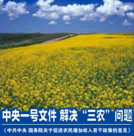 三农三农相关文件