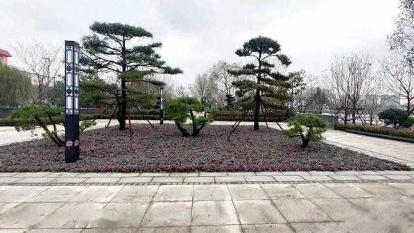 曹州古城风光