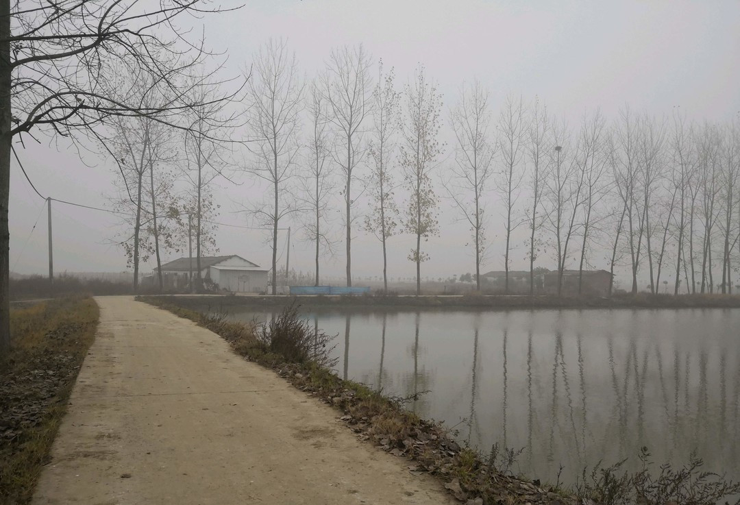 期思镇街景