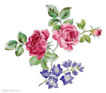花面