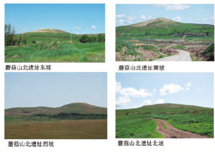 蘑菇山北遗址