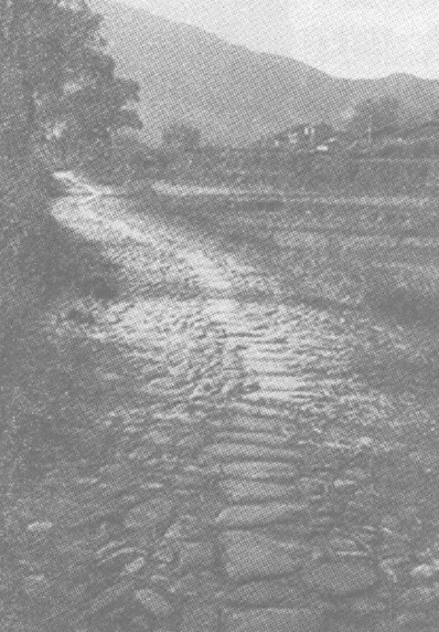 武夷山闽赣古驿道