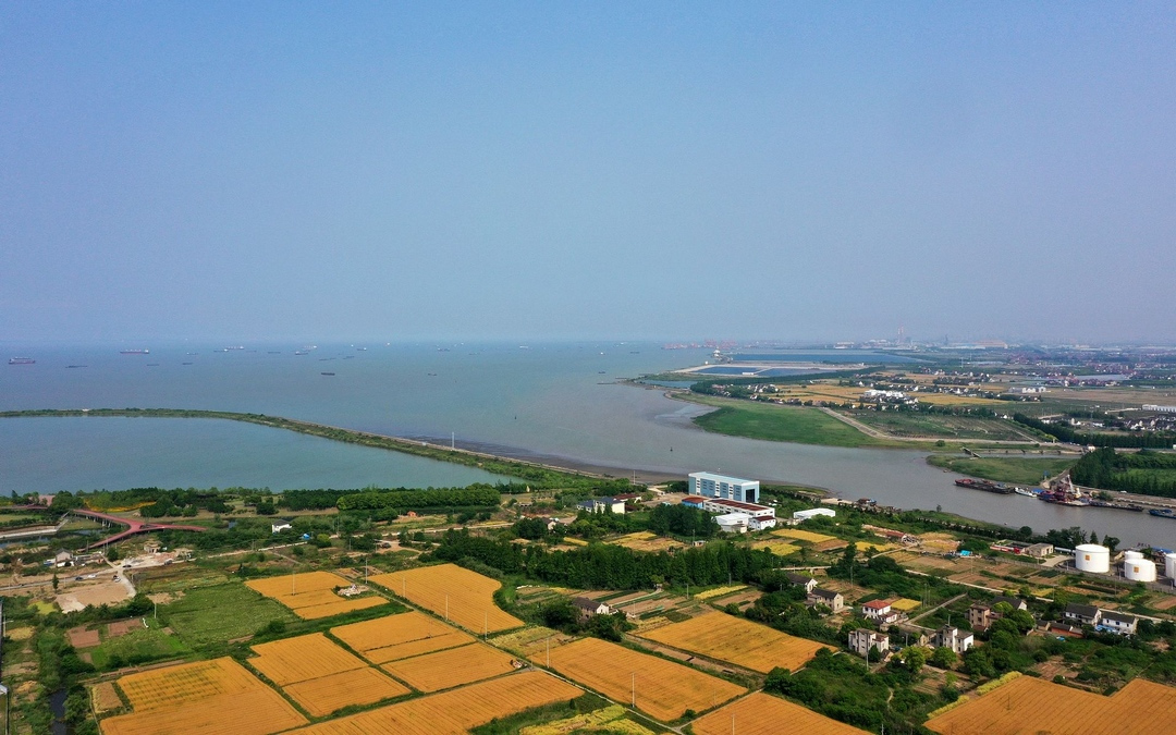 浏河口