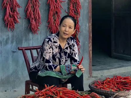 在电影《红辣椒》中饰演奶奶