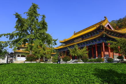 灵岩禅寺