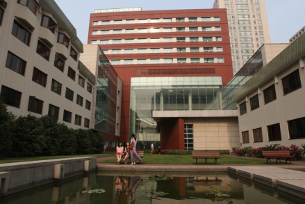 中心环境