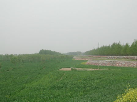 封丘县