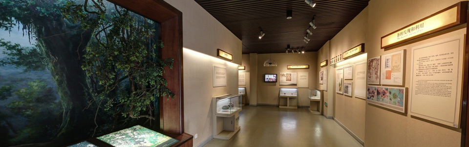 《中华茶文化展》
