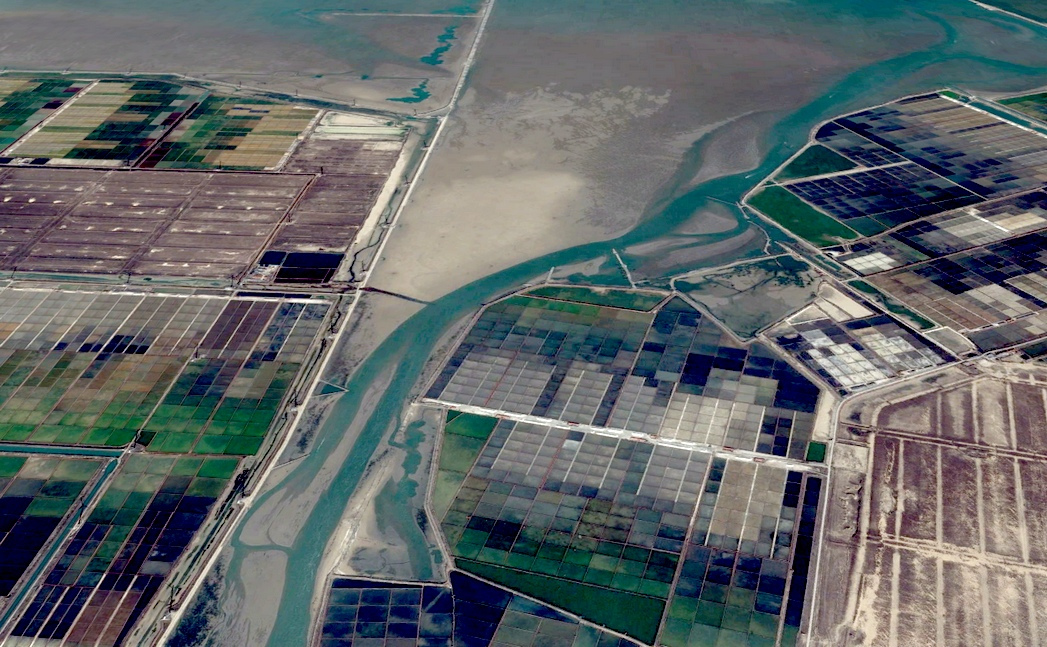 北胶莱河入海口