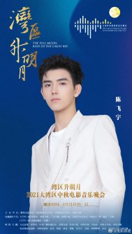 陈飞宇