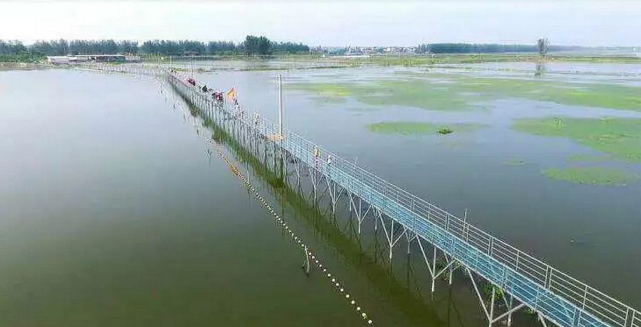 洪湖北部洪湖市沙口镇湖面