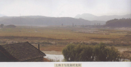 龙岗遗址群