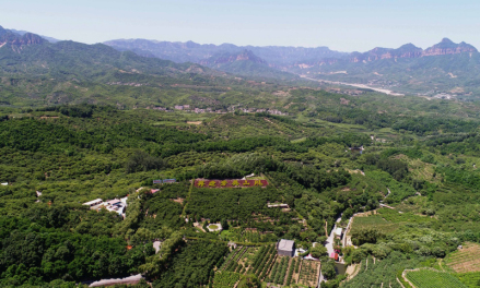 前南峪