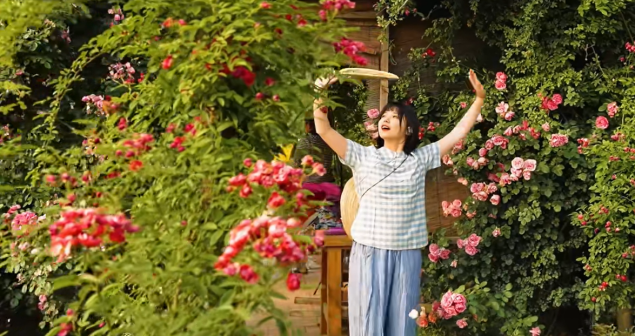 蔷薇花
