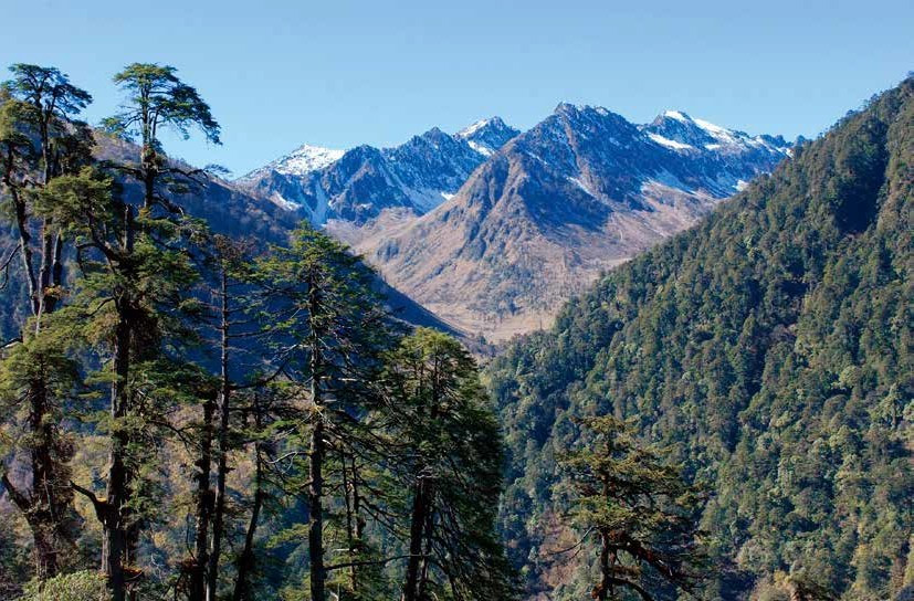 担当力卡山
