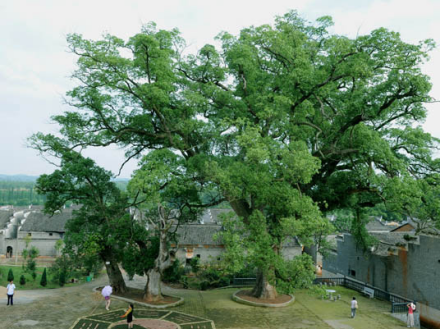 横江镇公塘村