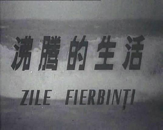 沸腾的生活