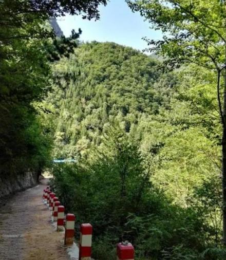 甘肃石佛沟国家森林公园