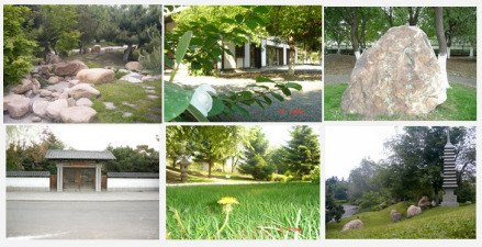 吉林·宫城友谊园景观 