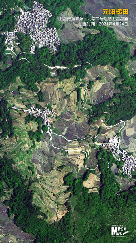元阳梯田卫星影像 