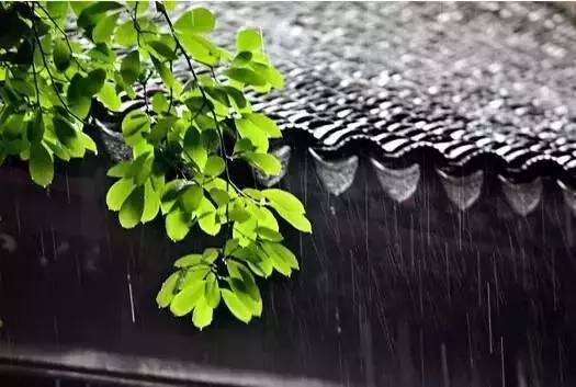 “梅雨”季节