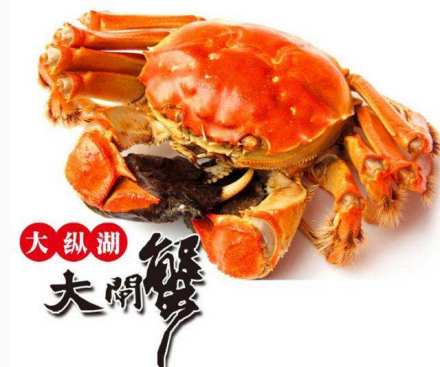 大纵湖大闸蟹样图