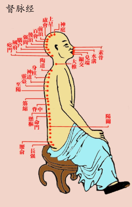 督脉经