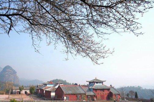 寒梅古寺