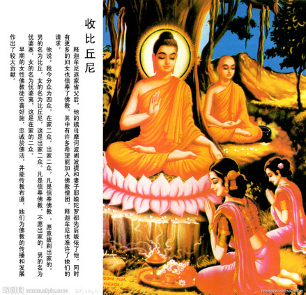 收比丘尼
