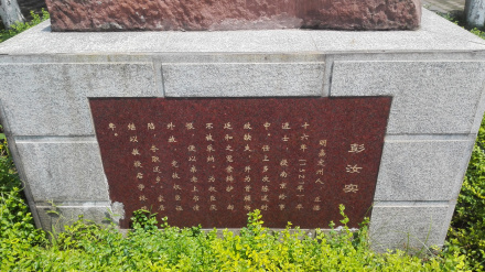 彭汝实先生简介
