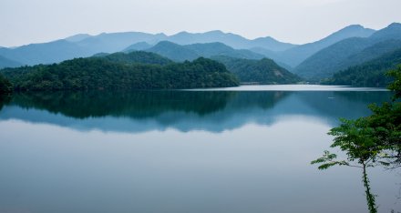 金东区