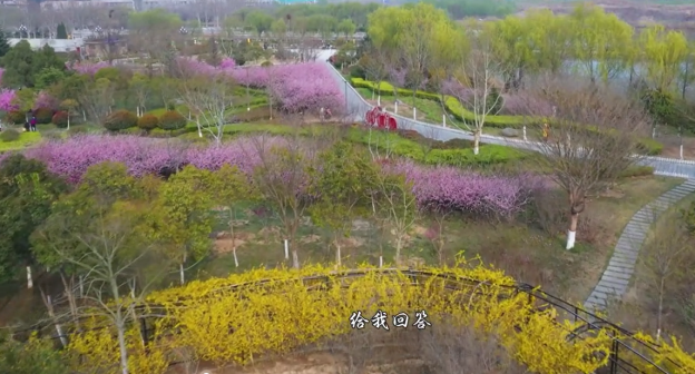戴月景区