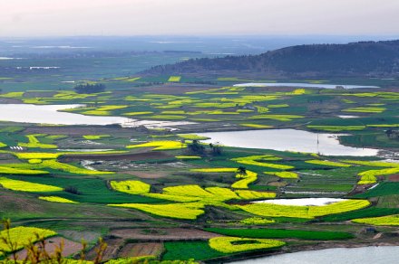 青龙镇风景图