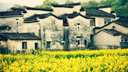 皖南乡村