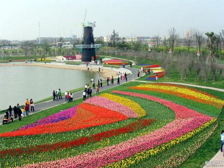 上海鲜花港