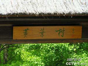 北京植物园黄叶村