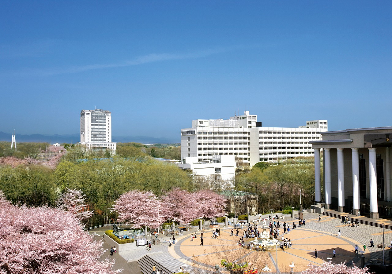 创价大学