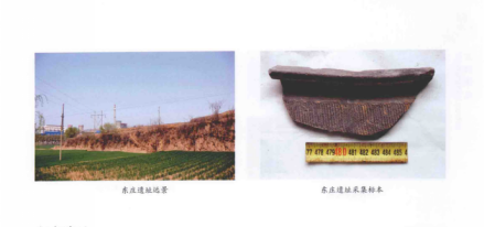 东庄遗址和出土陶片