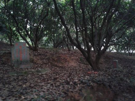 黄凤翔墓全景.jpg