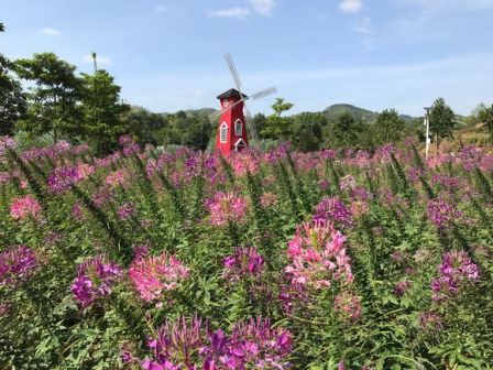 曼陀山庄