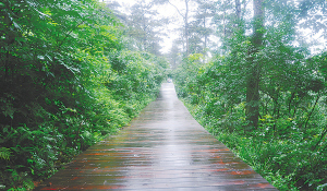 云栖栈道