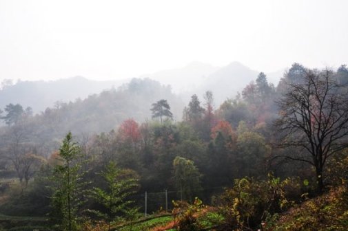 安陆风景