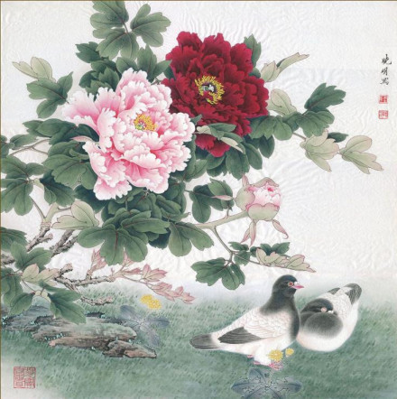 洛阳牡丹