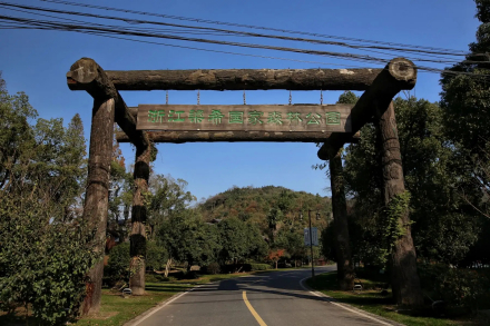 梁希森林公园