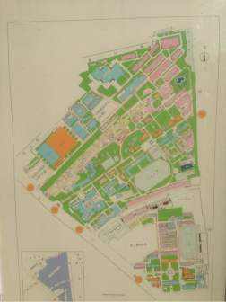 沪江大学运动场