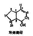 结构