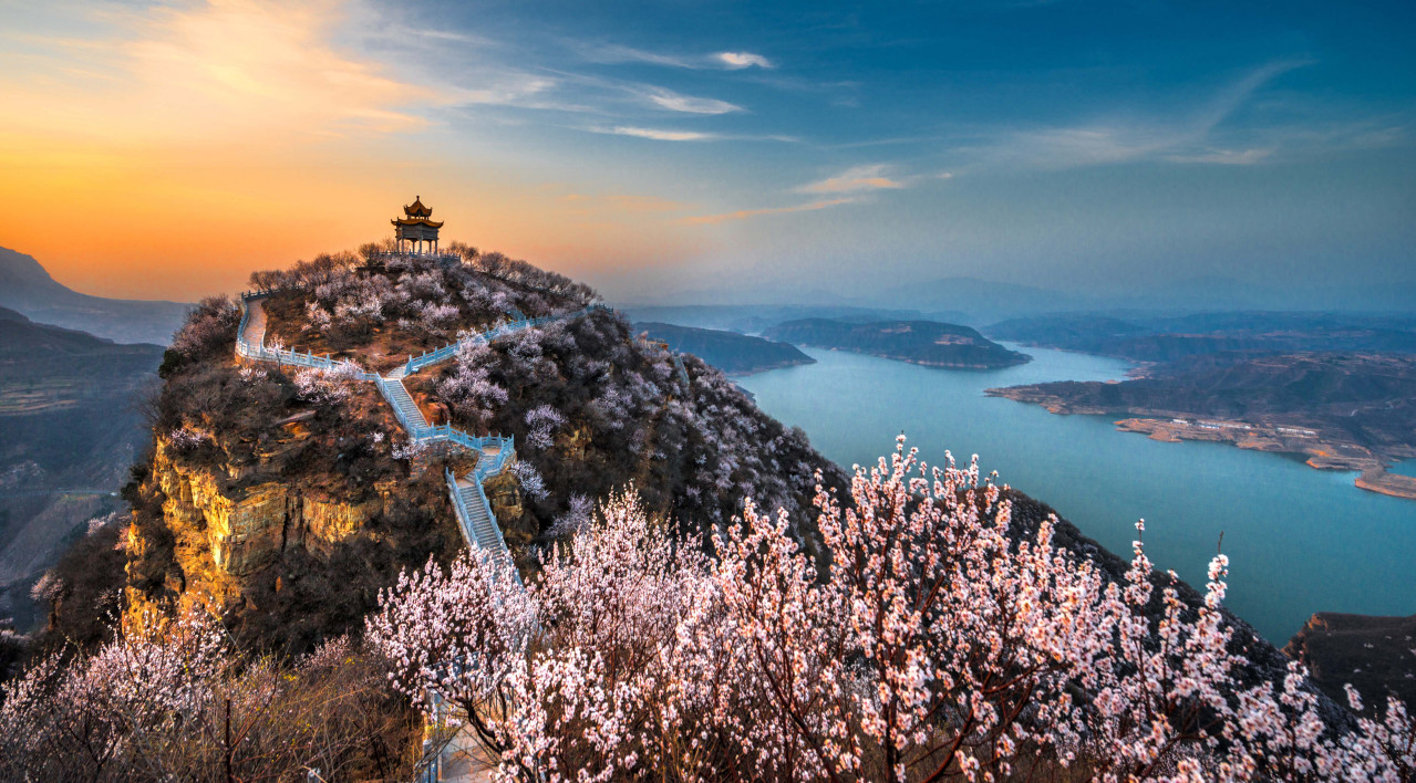 荆紫山桃花园